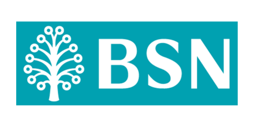 bank-bsn-logo